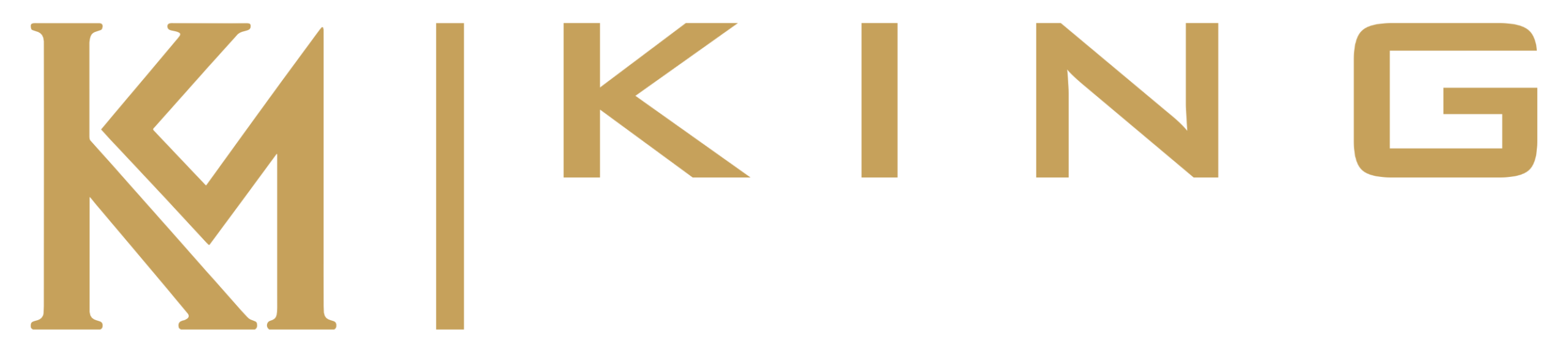King Motors